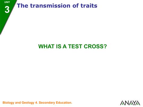 What is a test cross?