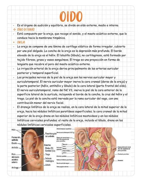 Oído Jeffrey Ariel Loayza Baldellon uDocz