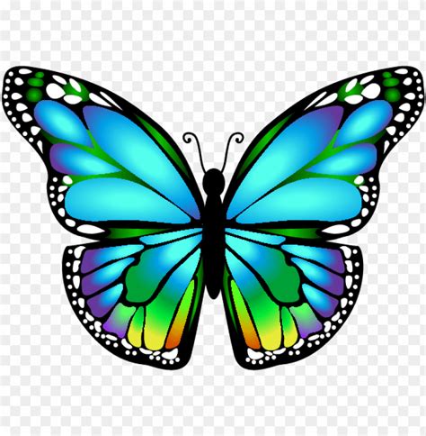 Free Download Hd Png Butterfly Mariposa Ms Butterfly Clip Art Png