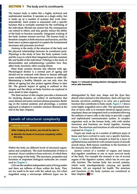 SOLUTION Cardiovascular System Studypool