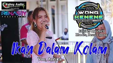 Inget Ka Mantan Voc Antika Wongkenene Music Edisi Mei Live