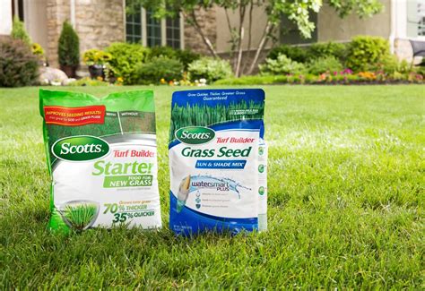 What Grass Seed Is Best For Florida At Kenneth Smithers Blog