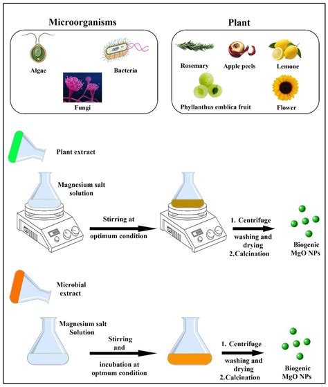 Catalysts Free Full Text Green Synthesis Of Magnesium Oxide