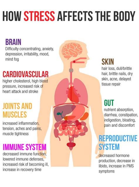 The Effect Of Stress On The Body Honest Goodness By Claire