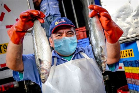 Infraestructura Y Pesca Sectores A La Espera De Reanudaci N Total