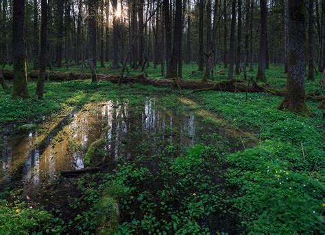 Najpiękniejsze parki narodowe w Polsce Magazyn Travelist