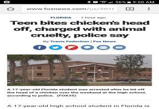 Wtf Headlines That Can Only Have Come From Florida Funny Gallery