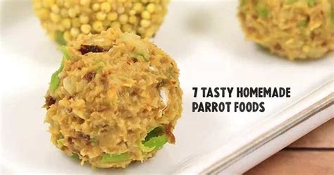 7 tasty homemade parrot foods your bird will love - Bird Vibes | Parrot food recipe, Food, Bird ...