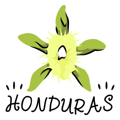 Honduras National Orchid Illustration