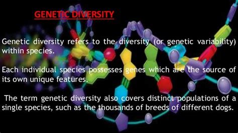 Evs Presentation Types Of Biodiversity