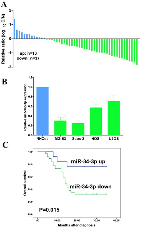 Mir C P Is Downregulated In Human Os Tissues And Cell Lines A