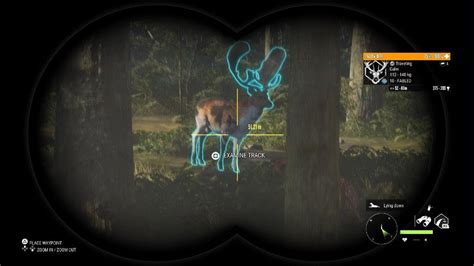 Thehunter Call Of The Wild Great One Fallow Deer With The Crossbow