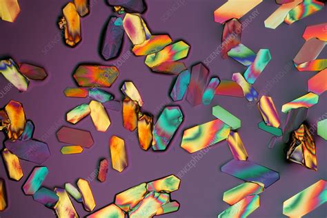 Copper Chloride Polarised Light Micrograph Stock Image C049 1792