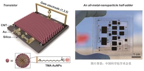 国家纳米中心等在金属纳米颗粒晶体管研究中取得进展 纳米颗粒 科技前沿 颗粒在线