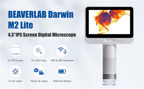 Amazon BEAVERLAB Handheld Digital Microscope With 4 3 1080P IPS