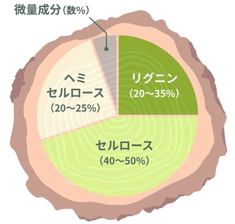 植物由来の「新素材」研究の最前線：農林水産省：農林水産省