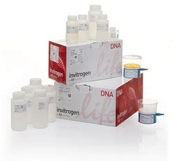 Invitrogen Purelink Hipure Expi Plasmid Megaprep Kit Preps Molecular