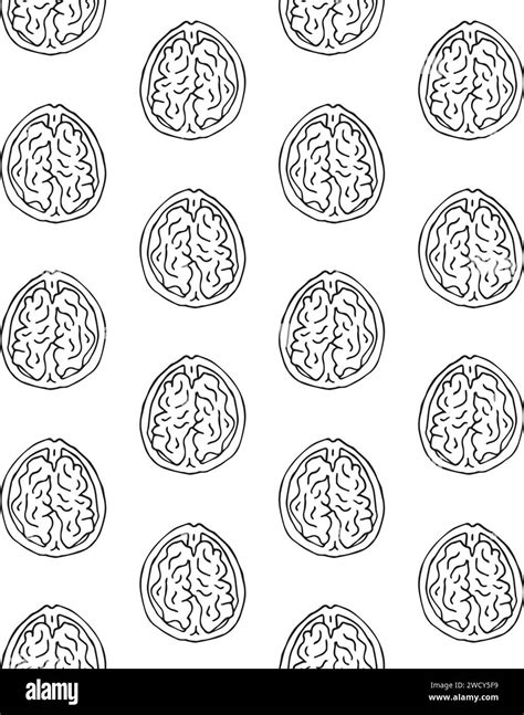 Vector Seamless Pattern Of Hand Drawn Doodle Sketch Walnut Nut Isolated