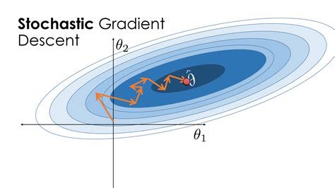 File:Visualization of stochastic gradient descent.png - Cornell University Computational ...