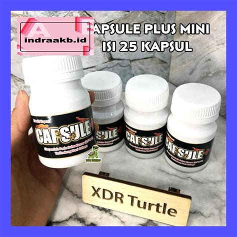 Jual S Trep Capsule Plus Mini Obat Reptil Torto Lemas Sulcata Sakit