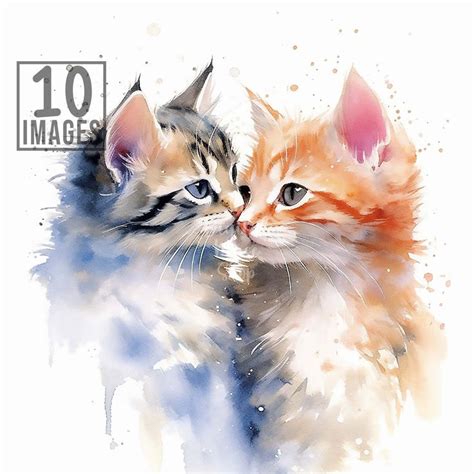 Cats Love Clipart 10 High Quality JPGs Watercolor Clipart Digital