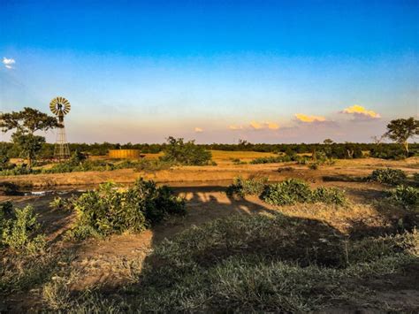 Parc National Kruger Un Incontournable Des Safaris En Afrique Du Sud