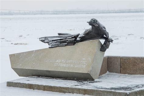 Памятник тюленю-спасителю – Аудиогид от Государственное бюджетное ...