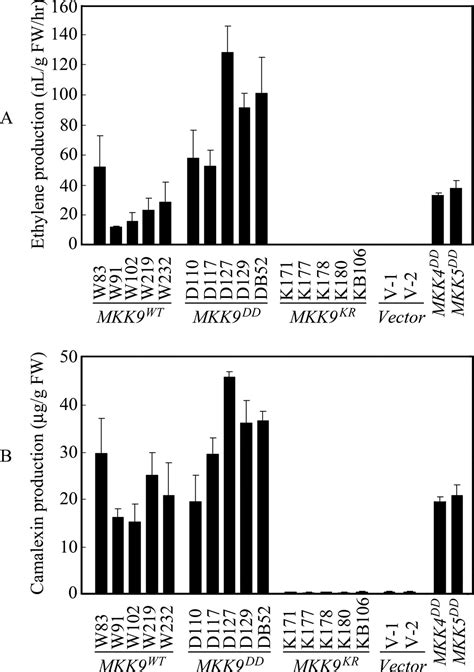 Activation Of MAPK Kinase 9 Induces Ethylene And Camalexin Biosynthesis