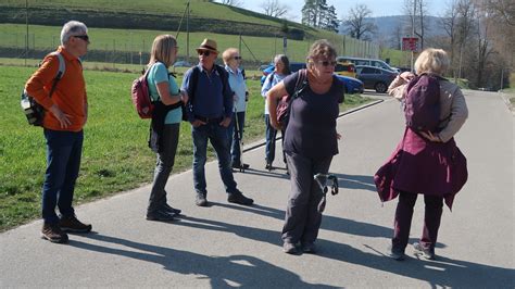 Wanderung Vom M Rz Irchel Seniorenclub B Lach