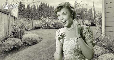 There Are Many Old Wives Tales When It Comes To Lawn Care While Some