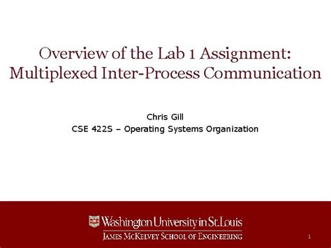 Overview Of The Lab 1 Assignment Multiplexed InterProcess