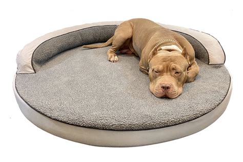 15 Best Xxl Dog Beds For Great Danes Hey Djangles