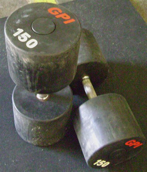 Olympic Weights Dumbbells Bars Olympic Plates Troy Ivanko Iron