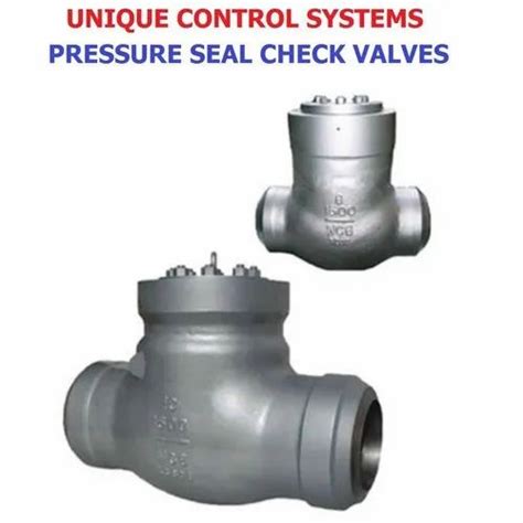 Ksb Pressure Seal Check Valves Size Mm To Mm At Rs In