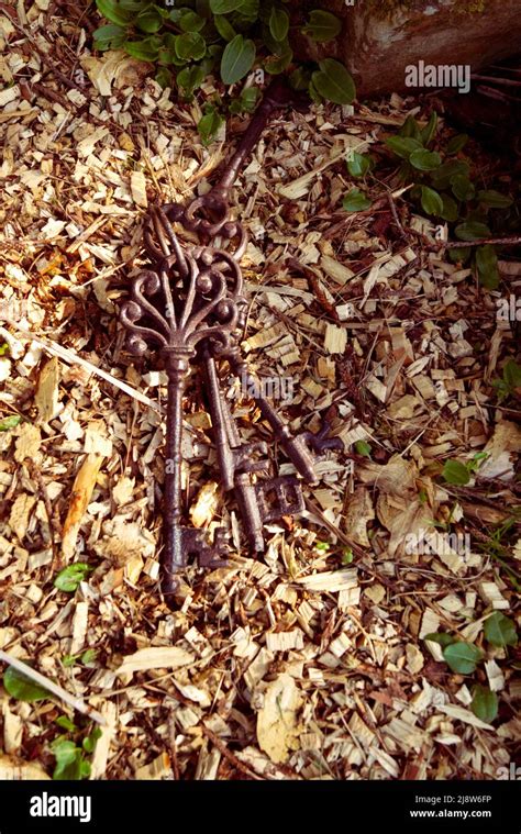 Old Rusty Keys Stock Photo Alamy