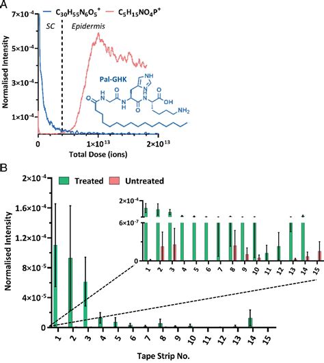 Elucidating The Molecular Landscape Of The Stratum Corneum Pnas