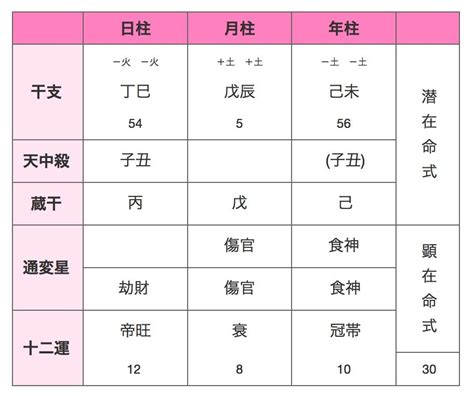 四柱推命・命式の見方ー基礎編〜干支・通変星・十二運星を見てみよう♡〜 ときめき四柱推命アドバイザーmiki「答えは自分が知っている♡」