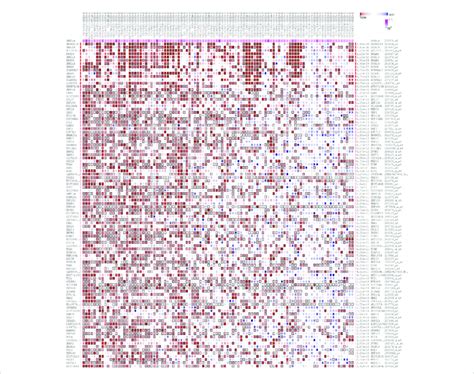 The Top Predicted Target Genes Of Snhg By Using Multi Experiment