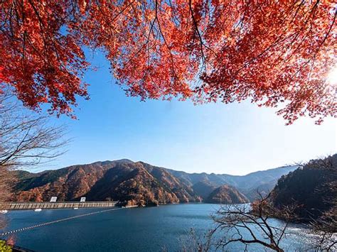 奥多摩湖の紅葉 2 Photo散歩