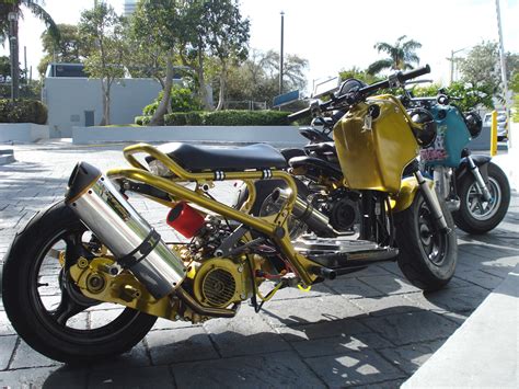 Miami Ruckus Gy6 150cc Custom Builds