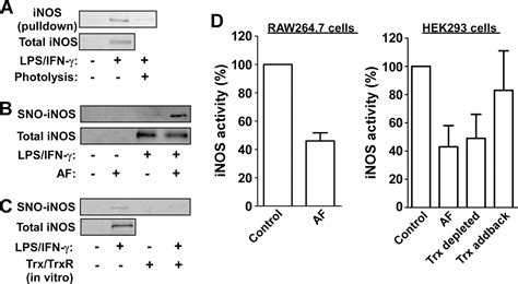 A Substrate Trapping Approach Identifies Proteins Regulated By