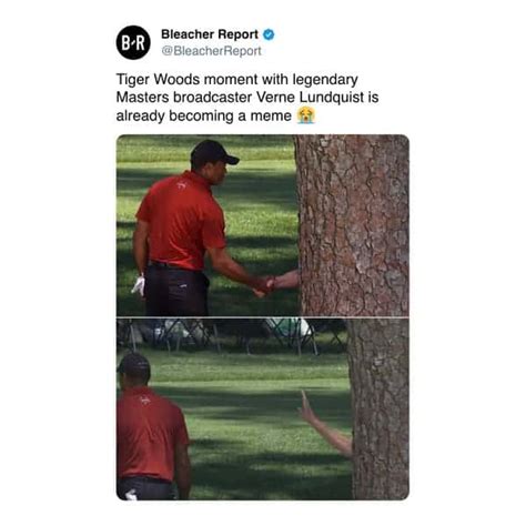 25 Times Tiger Woods Handshake With A Tree Became A Hilarious Meme