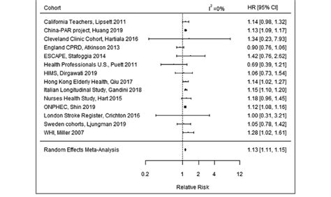 Meta Analysis Of The Relative Risk Of Incident Stroke Per 10 µgm 3