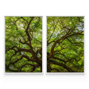 Quadro Paisagem Árvores Natureza Troncos Moderno Para Sala Quarto