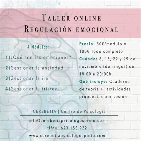 Taller De Regulaci N Emocional Psic Logos En Pinto Cerebetia