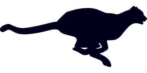 Svg Laufen Tier Katze Schnell Kostenloses Svg Bild Symbol Svg Silh