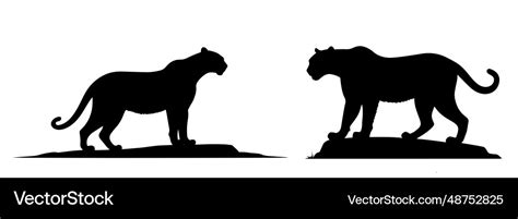 Big black panther black panther silhouette Vector Image