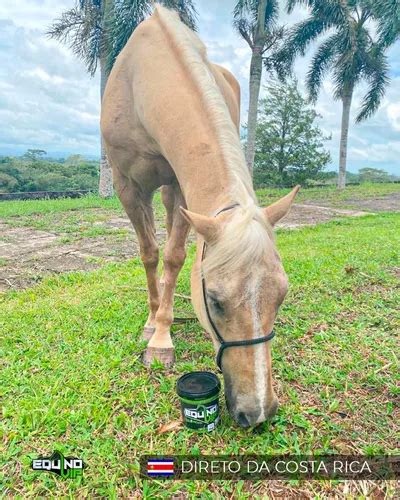 2kg Suplemento Equino Vip Maximum Cavalo Massa Muscular à venda em