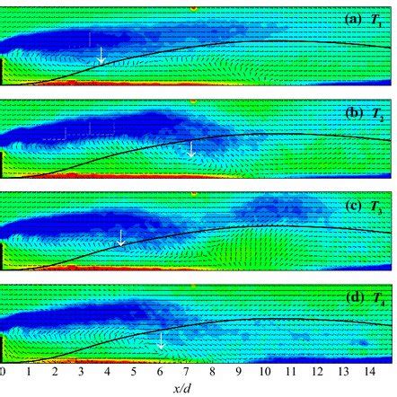 Reconstructed Velocity Vector Field And Vorticity Field Using The First