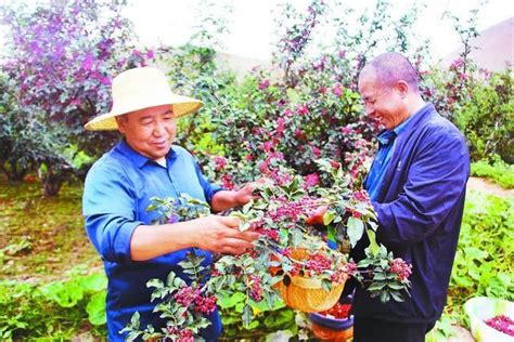 【全会精神在基层】实干真干，以初心书写惠民“答卷”全会新浪新闻